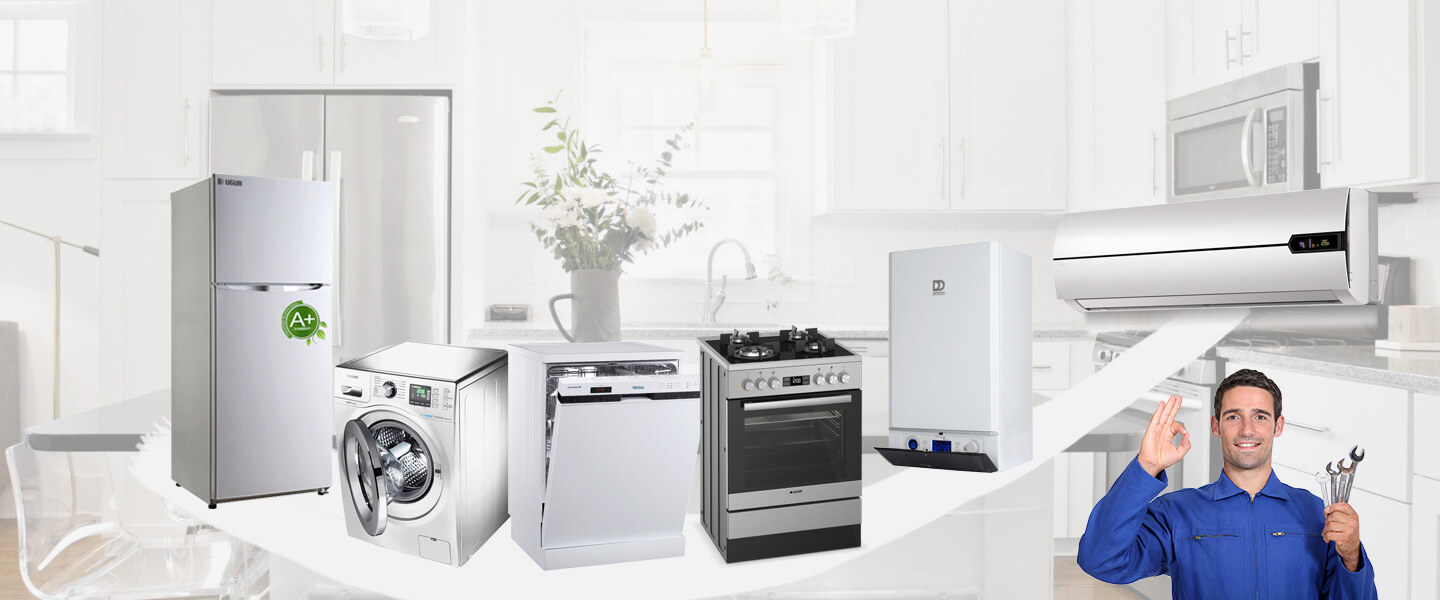 Bornova Electrolux Servisi